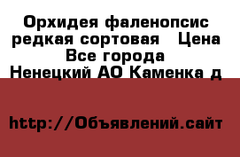 Орхидея фаленопсис редкая сортовая › Цена ­ 800 - Все города  »    . Ненецкий АО,Каменка д.